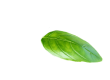 Decorative shape element